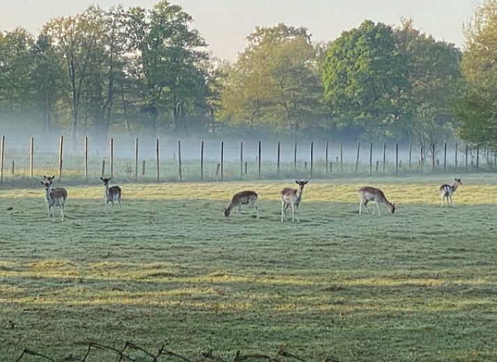 Stylish kitchen in Holiday Home in Winterswijk Kotten, perfect for culinary adventures in the Achterhoek.