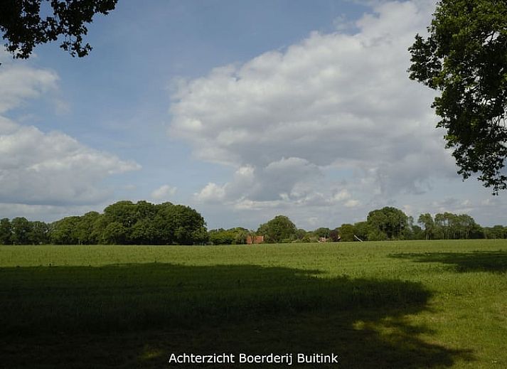 Attractive bedroom in Holiday home in Winterswijk Kotten, with beautiful floral wallpaper in Gelderland.