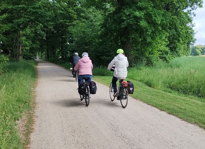 Attractive bedroom in Holiday home in Winterswijk Kotten, with beautiful floral wallpaper in Gelderland.