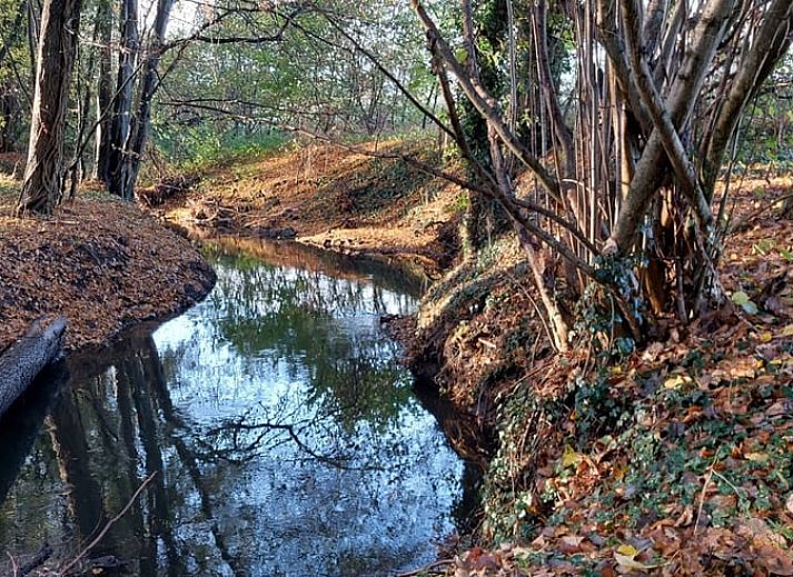 Attractive bedroom in Holiday home in Winterswijk Kotten, with beautiful floral wallpaper in Gelderland.