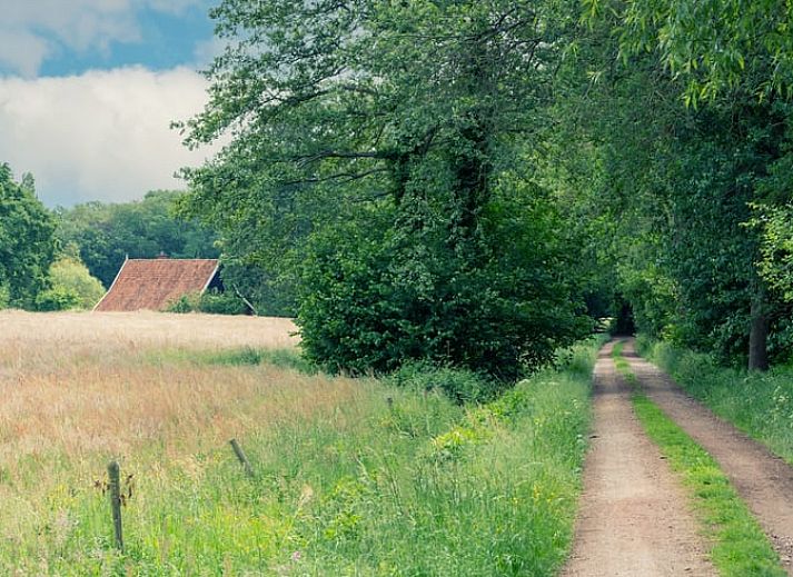 Terrace of Cottage in Winterswijk Kotten, cozy cottage in the green surroundings of the Achterhoek, Gelderland.