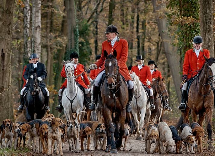 Terrace of Cottage in Winterswijk Kotten, cozy cottage in the green surroundings of the Achterhoek, Gelderland.