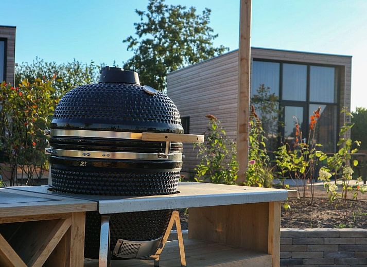 Verblijf 296982 - Vakantiewoning Achterhoek - Tiny House 2