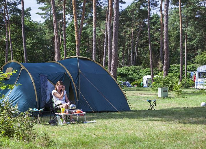 Guest house 296992 - Holiday property Achterhoek - EuroParcs Marina Strandbad