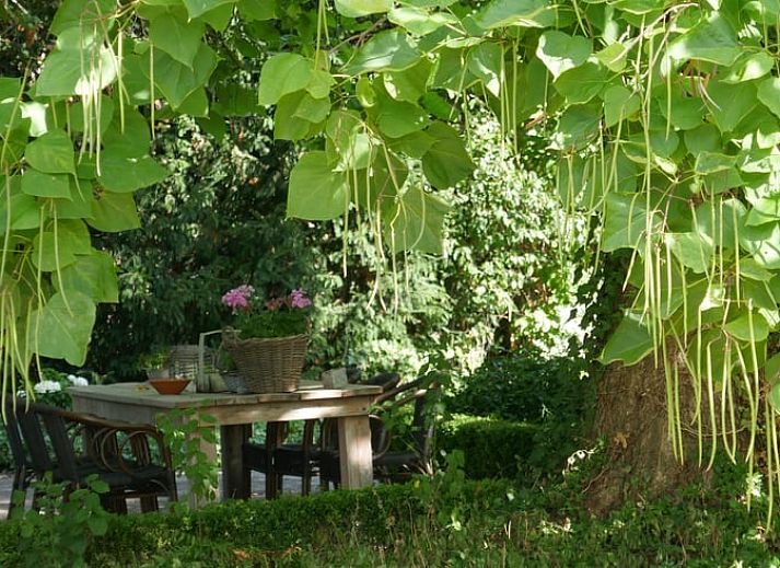 Unterkunft 297004 - Ferienhaus Achterhoek - Vakantiehuis in Warnsveld