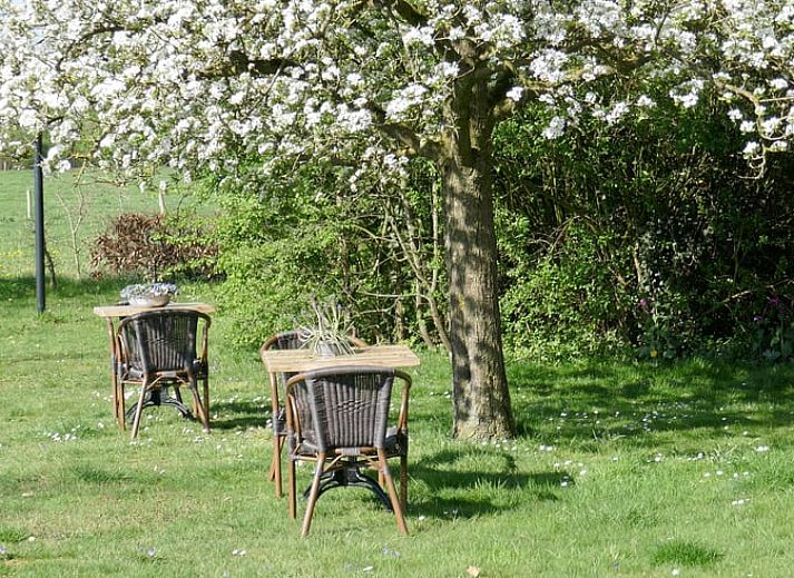 Unterkunft 297004 - Ferienhaus Achterhoek - Vakantiehuis in Warnsveld