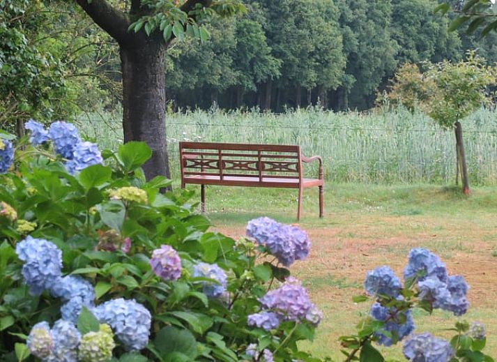 Spacious bedroom in Cottage in Warnsveld, Achterhoek, with comfortable double bed.