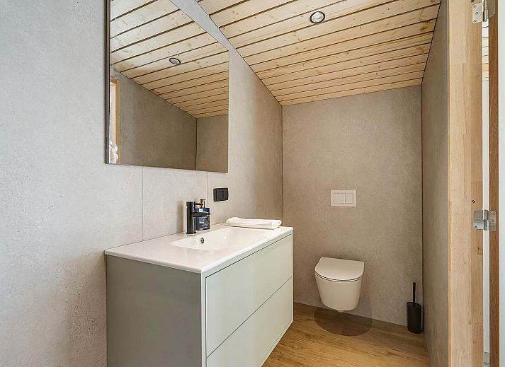 Unterkunft 297009 - Ferienhaus Achterhoek - Bliss Villa | 6 Pers. Sauna & Hottub