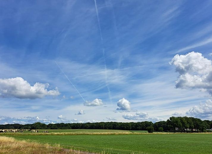 Cottage in Almen, Ferienhaus in Achterhoek, Gelderland. Laendlicher Charme mit grossen Fenstern und einer grossen Terrasse.