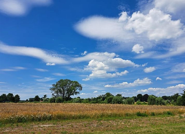 Ferienhaus in Almen, Ferienunterkunft in Achterhoek, Gelderland. Traditionelle Architektur mit Fluegeltueren und sonnigem Aussenbereich.