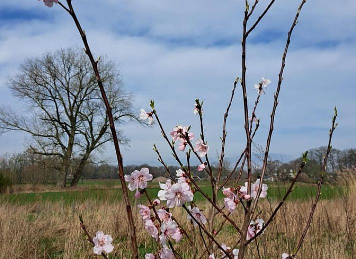 Ferienhaus in Almen, Ferienunterkunft in Achterhoek, Gelderland. Traditionelle Architektur mit Fluegeltueren und sonnigem Aussenbereich.