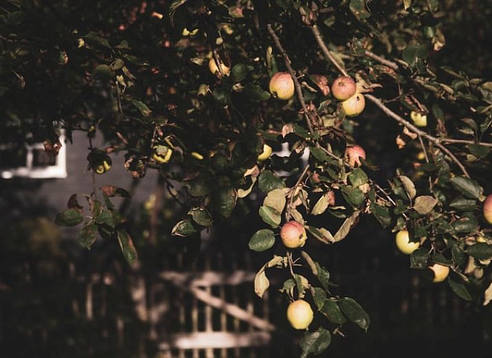 Ferienhaus in Megchelen, gelegen im gruenen Achterhoek, Gelderland, mit gemuetlichem Garten und Terrasse.
