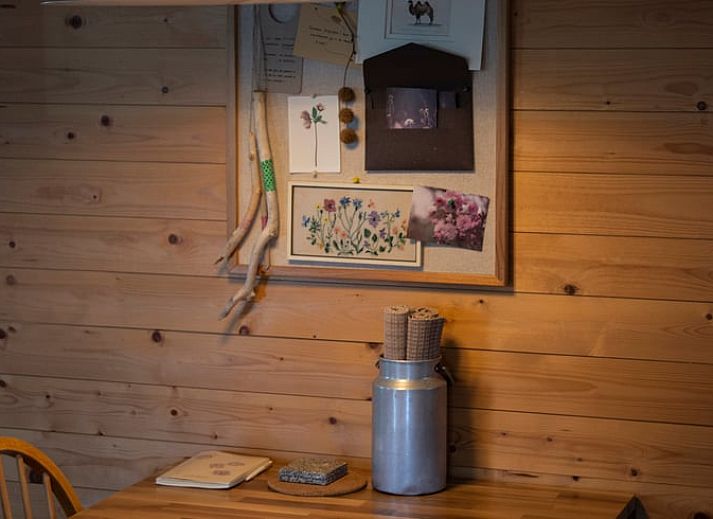 Natuerliche Umgebung des Ferienhauses in Megchelen, Achterhoek, Gelderland, mit bluehendem Apfelbaum.