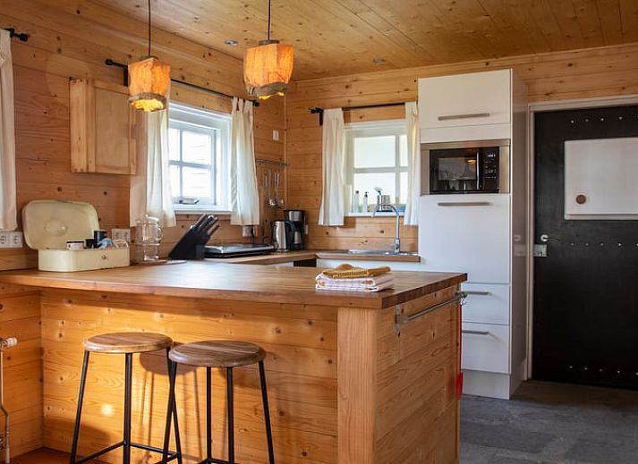 Natuerliche Umgebung des Ferienhauses in Megchelen, Achterhoek, Gelderland, mit bluehendem Apfelbaum.