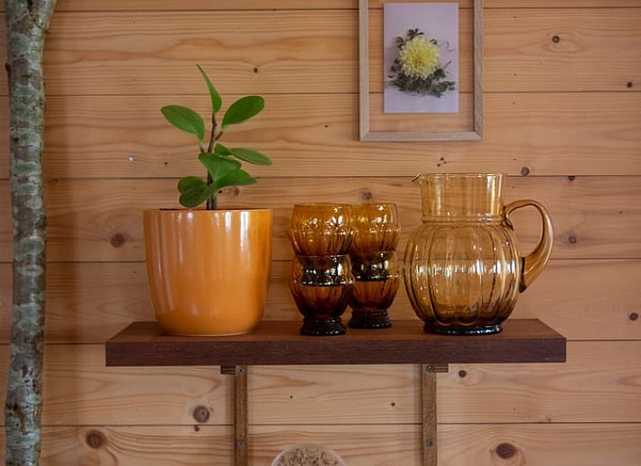 Natuerliche Umgebung des Ferienhauses in Megchelen, Achterhoek, Gelderland, mit bluehendem Apfelbaum.