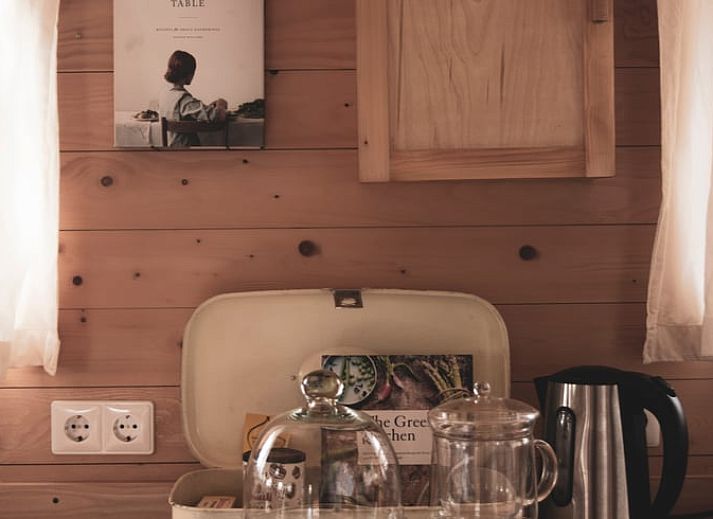 Natuerliche Umgebung des Ferienhauses in Megchelen, Achterhoek, Gelderland, mit bluehendem Apfelbaum.