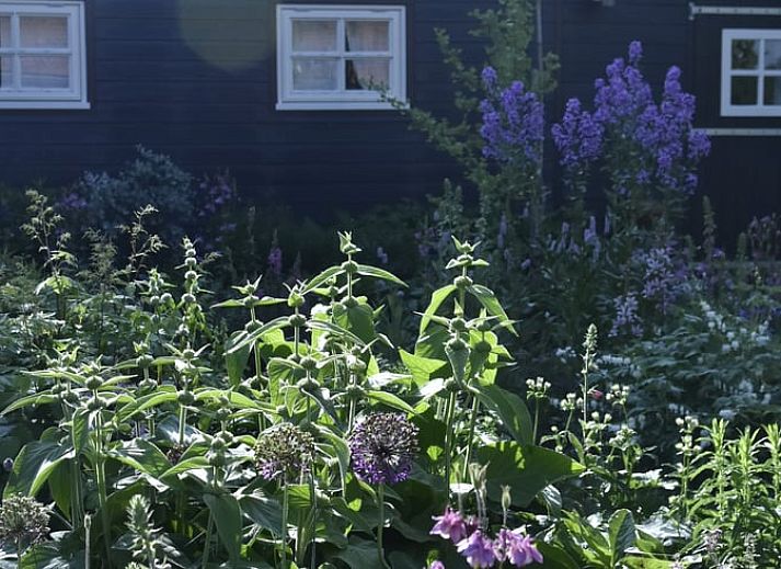 Geraeumige Kueche und Wohnzimmer im Ferienhaus in Megchelen, Achterhoek, Gelderland, mit rustikaler Holzausstattung.