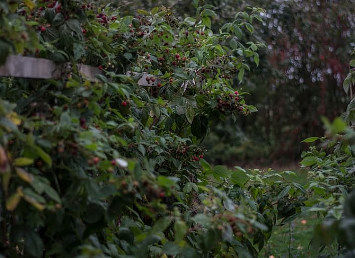 Komfortable Sitzecke im Ferienhaus in Megchelen, Achterhoek, Gelderland, mit heller und gemuetlicher Einrichtung.