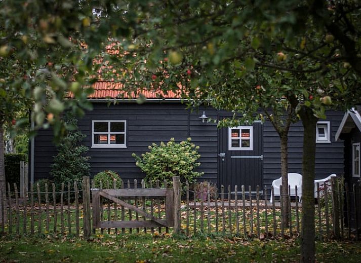 Komfortable Sitzecke im Ferienhaus in Megchelen, Achterhoek, Gelderland, mit heller und gemuetlicher Einrichtung.