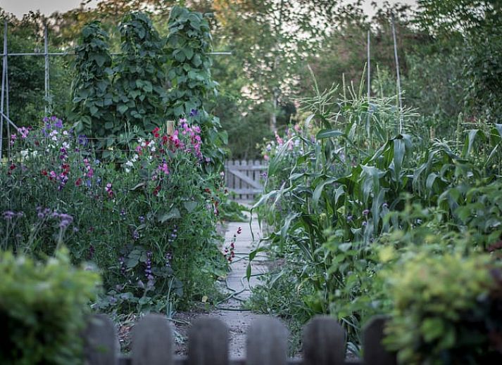 Komfortable Sitzecke im Ferienhaus in Megchelen, Achterhoek, Gelderland, mit heller und gemuetlicher Einrichtung.