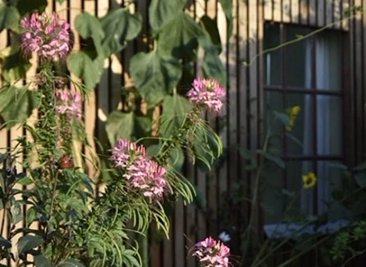 Geniessen Sie die moderne Veranda und die gemuetliche Kueche des Ferienhauses in Megchelen, das im schoenen Achterhoek in Gelderland liegt.
