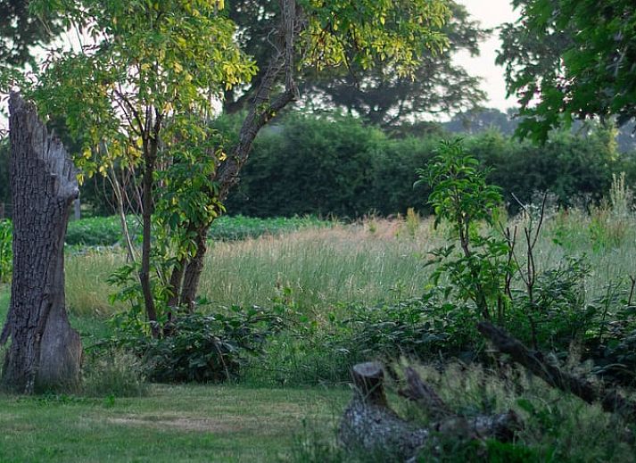 Gemuetliche Kueche im Ferienhaus in Megchelen, Achterhoek. Warme Holzausstattung und moderne Annehmlichkeiten fuer einen komfortablen Aufenthalt.