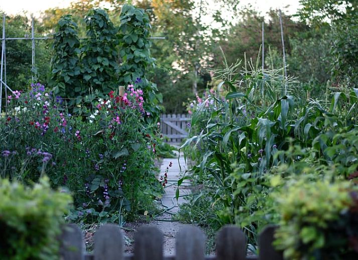 Gemuetliche Kueche im Ferienhaus in Megchelen, Achterhoek. Warme Holzausstattung und moderne Annehmlichkeiten fuer einen komfortablen Aufenthalt.