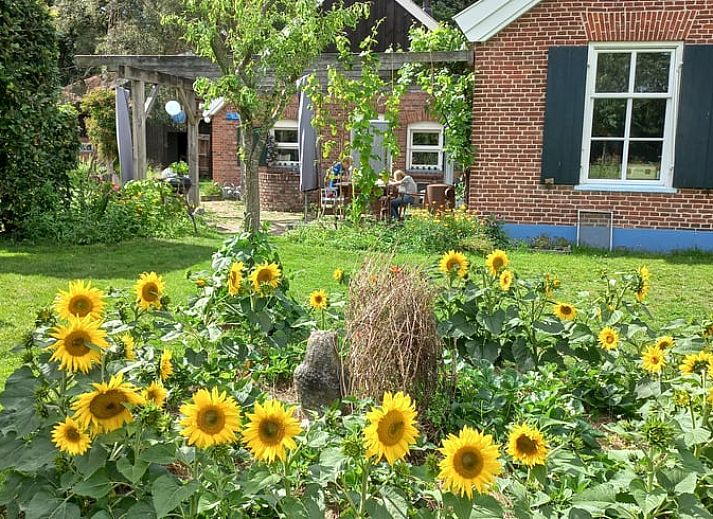 Ferienhaus in Winterswijk Woold mit traditioneller Backsteinfassade und gruenen Fensterlaeden, gelegen in Achterhoek, Gelderland.
