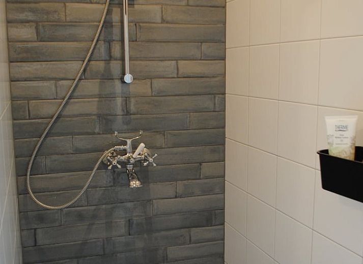 Eingangsweg zum Ferienhaus in Winterswijk Woold, umgeben von ueppiger Natur in Achterhoek, Gelderland.