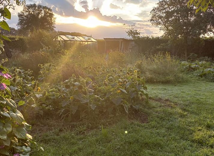 Eingangsweg zum Ferienhaus in Winterswijk Woold, umgeben von ueppiger Natur in Achterhoek, Gelderland.