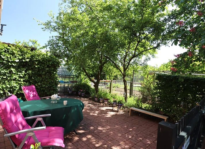 Geniet van de charmante tuin bij Vakantiehuisje in Winterswijk Woold, gelegen in de rustige Achterhoek, Gelderland.