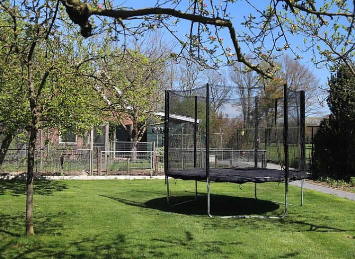 Authentieke gevel van Vakantiehuisje in Winterswijk Woold, omringd door kleurrijke bloemen in de serene Achterhoek, Gelderland.