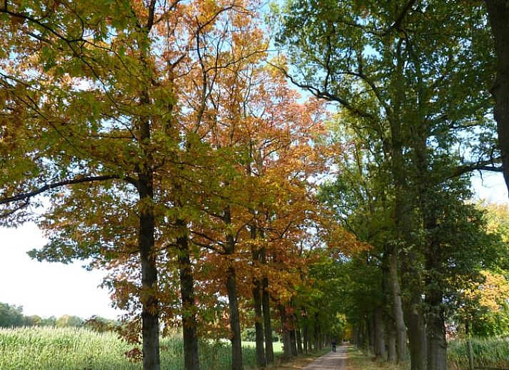 Authentieke gevel van Vakantiehuisje in Winterswijk Woold, omringd door kleurrijke bloemen in de serene Achterhoek, Gelderland.