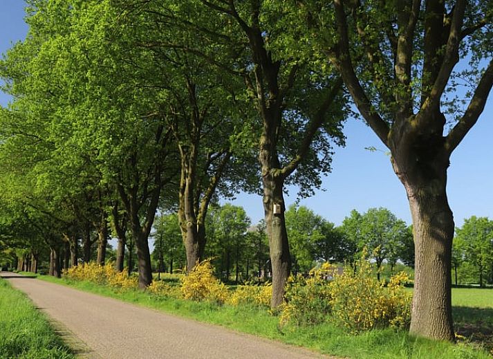 Rustige veranda van Vakantiehuisje in Winterswijk Woold, met uitzicht op het groene landschap van de Achterhoek, Gelderland.