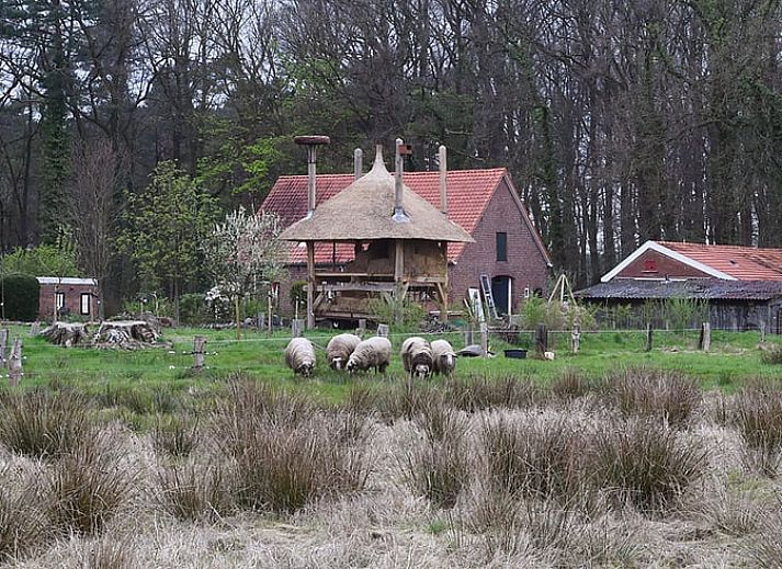 Unterkunft 297410 • Ferienhaus Achterhoek • Vakantiehuisje in Winterswijk Woold 