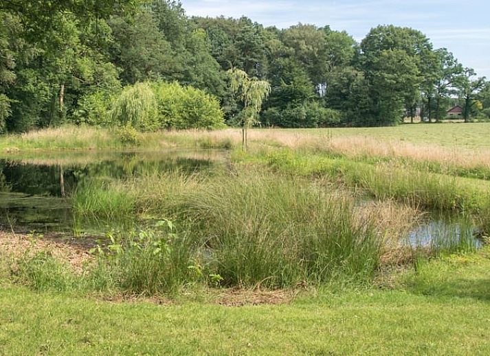 Gemuetliche Kueche im Ferienhaus in Winterswijk Woold, Achterhoek, mit Holzinterieur und Blick auf die gruene Umgebung von Gelderland.