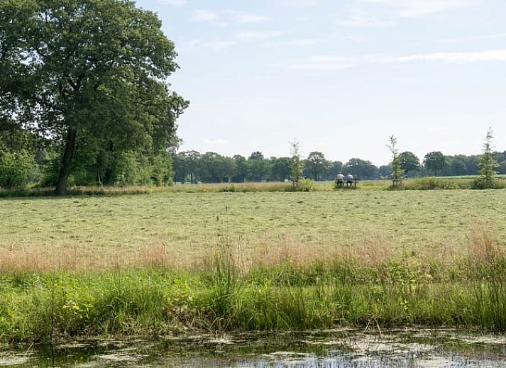 Gemuetliche Kueche im Ferienhaus in Winterswijk Woold, Achterhoek, mit Holzinterieur und Blick auf die gruene Umgebung von Gelderland.