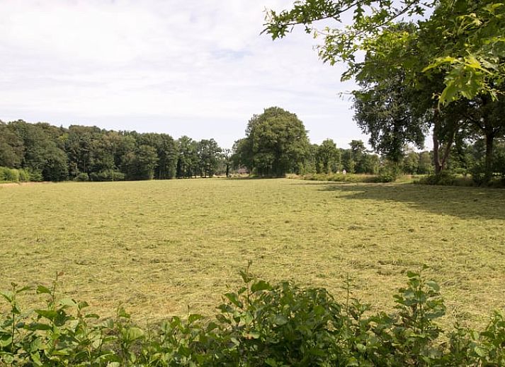Moderne Kueche im Ferienhaus in Winterswijk Woold, Achterhoek, mit Holzschraenken und Herd, ideal fuer einen komfortablen Aufenthalt.