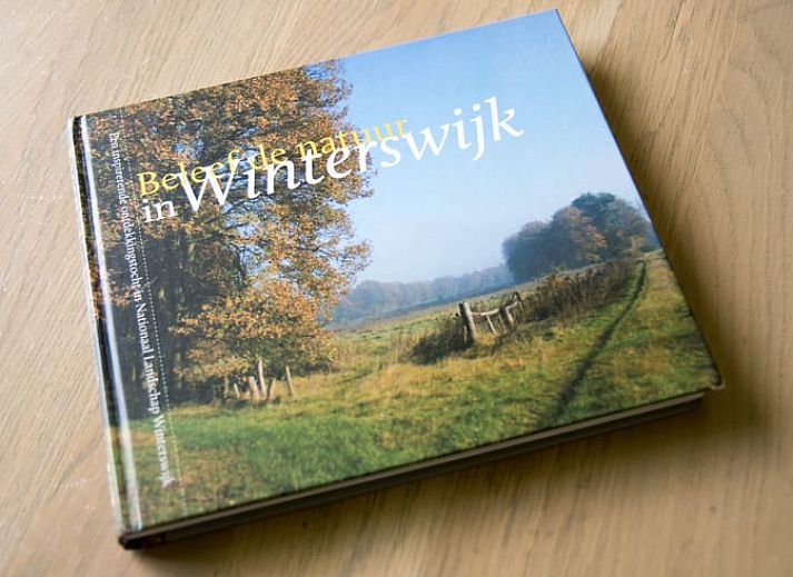 Spielplatz im Garten des Ferienhauses in Winterswijk Woold, gelegen in der gruenen Umgebung von Achterhoek, Gelderland.