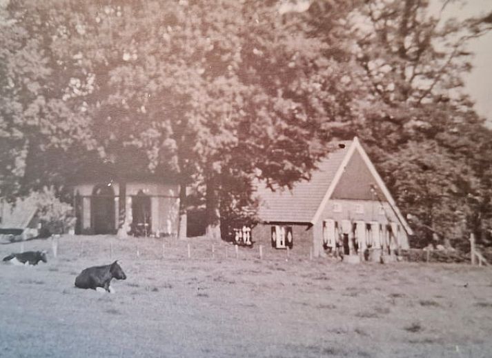 Enjoy a winter wonderland at Holiday Home in Winterswijk Woold, a charming vacation home in the snowy Achterhoek, Gelderland.