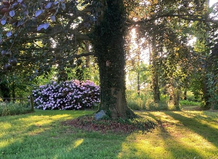 Cozy living room of Holiday Home in Winterswijk Woold, Achterhoek, Gelderland with fireplace and comfortable seating area.