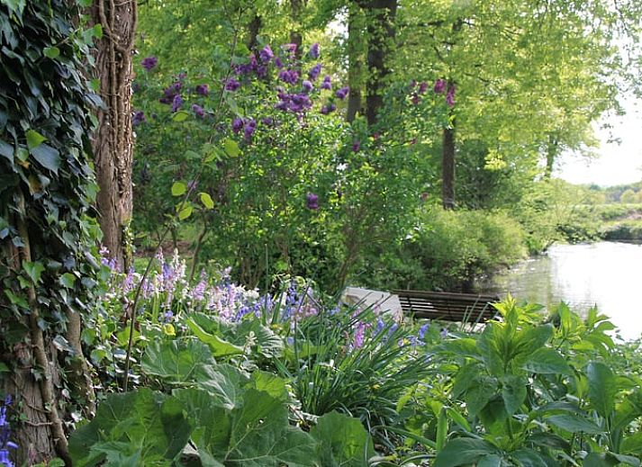 Cozy indoor area of Holiday Home in Winterswijk Woold, overlooking the green nature of the Achterhoek, Gelderland.