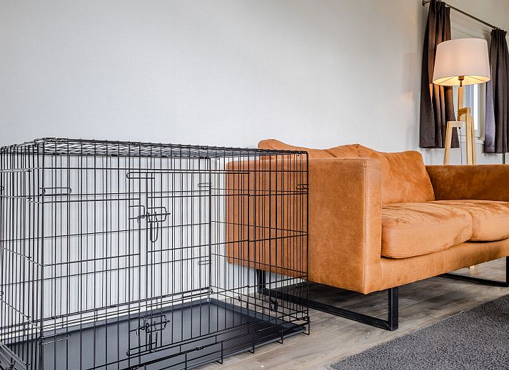 Cozy living room in De Vlinderhoeve, 4-bed bungalow in Kring van Dorth, Achterhoek, with comfortable sofa and modern furnishings.