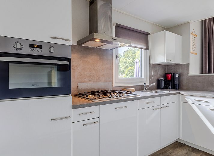 De Vlinderhoeve 4-person bungalow with terrace in Kring van Dorth, Achterhoek, Gelderland, surrounded by green nature.