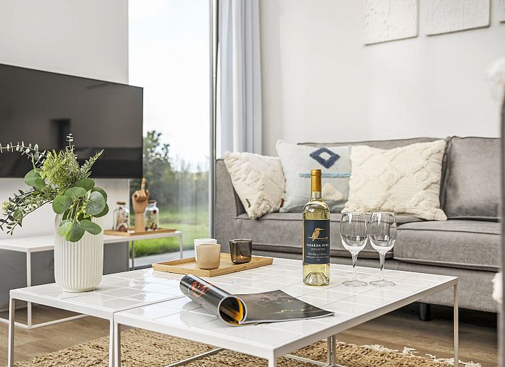 Cozy living room of De Vlinderhoeve vacation home in Achterhoek with comfortable seating area.