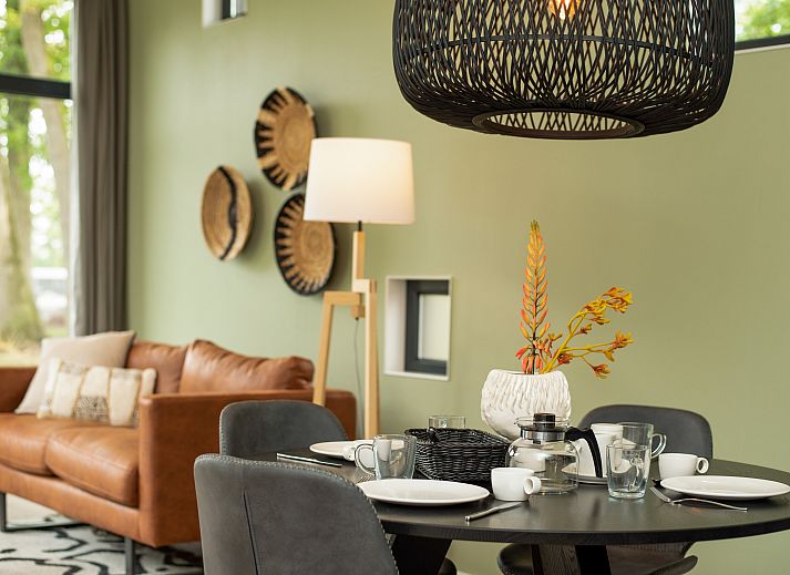 Stijlvolle woonkamer van De Vlinderhoeve, een 4-persoons vakantiehuis in Kring van Dorth, Achterhoek, Gelderland.