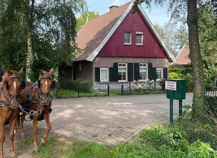 Rustige straat bij vakantiehuis Jonkersweg in Winterswijk Meddo, omgeven door groen en traditionele architectuur in de Achterhoek.