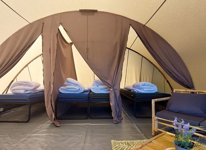 Guest house 297710 - Tent house Achterhoek - Tunneltent Sevink