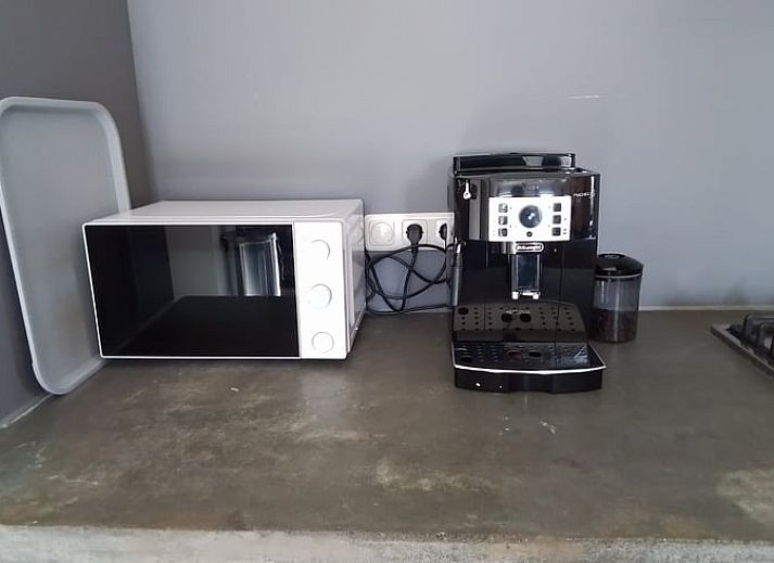 Entrance of Holiday cottage in Voorst, Achterhoek, with green garden.