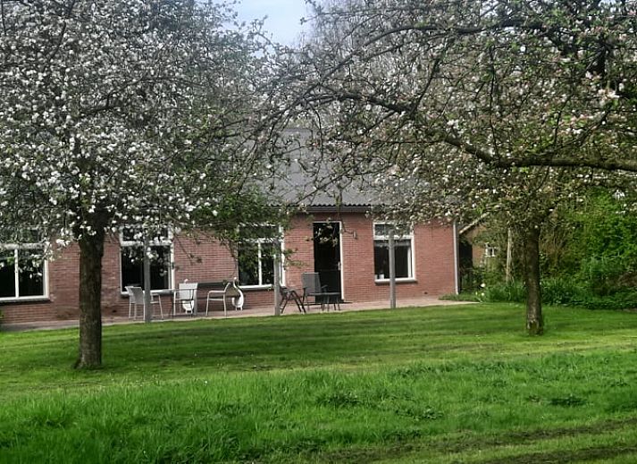 Modern kitchen in Holiday cottage in Voorst, Achterhoek, with fireplace.